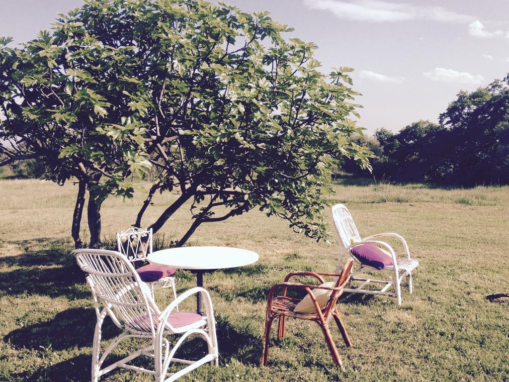B&B Mas Coquells Habitacion Genover Vilanant Dış mekan fotoğraf