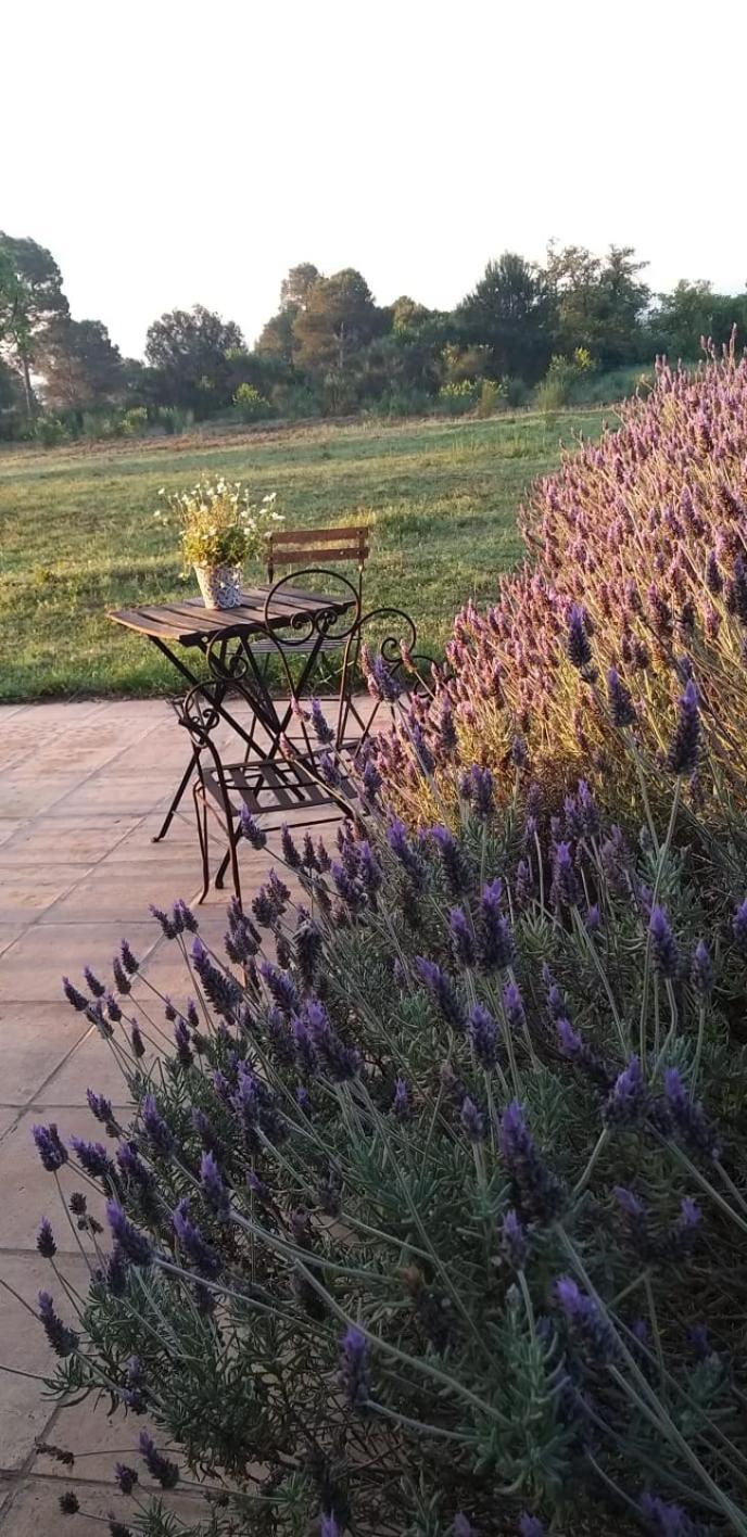 B&B Mas Coquells Habitacion Genover Vilanant Dış mekan fotoğraf